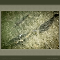 dailyPhoto8